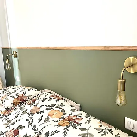 Apparemment Bord De Vue 公寓 阿雅克肖